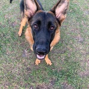 Meet your Posher, Kelly